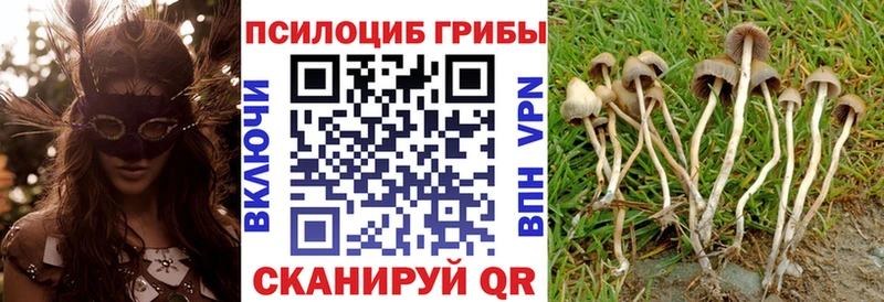 Галлюциногенные грибы GOLDEN TEACHER  цены   Мамоново 