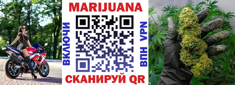 Конопля сатива  что такое   Мамоново 